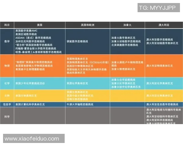 吴丽独家分享排球心得与技巧助你提升竞技水平的秘密解析