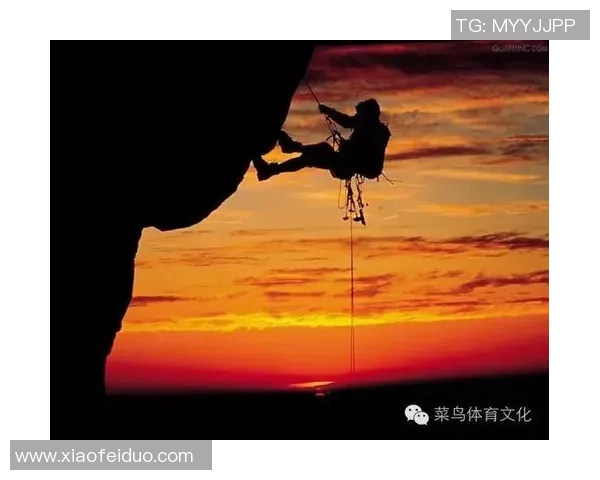 重庆攀岩队速度对比分析揭示训练效果与竞技水平的关系