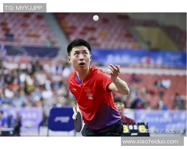 北京与福建首节较量精彩纷呈球员表现引人注目