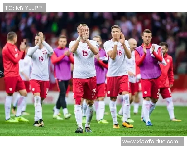 波兰与墨西哥友谊赛精彩对决展现足球魅力与友谊精神 波兰与墨西哥友谊赛精彩对决展现足球魅力与友谊精神