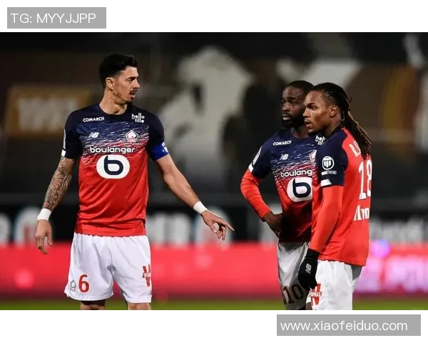 维尔德霍与托雷斯的巅峰对决谁能笑到最后精彩赛事即将上演