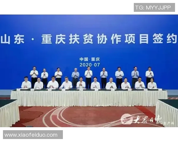 重庆飞盘队荣登全国团队协作排行榜第三名展现出色团队精神与实力