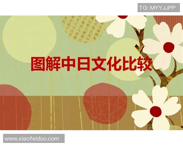 12月12日中日对决分析两国经济文化差异与未来发展趋势