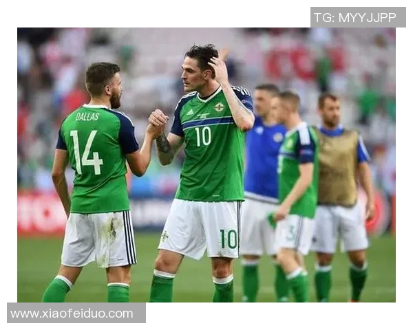 保加利亚与波黑足球对决精彩纷呈谁能在这场较量中胜出