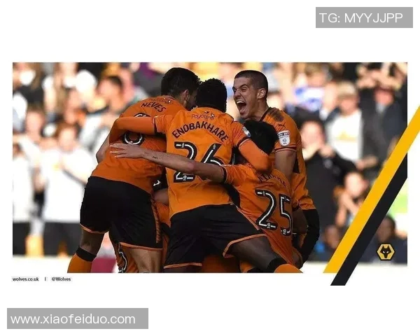 加的夫城与狼队激战成和比分揭晓精彩瞬间回顾